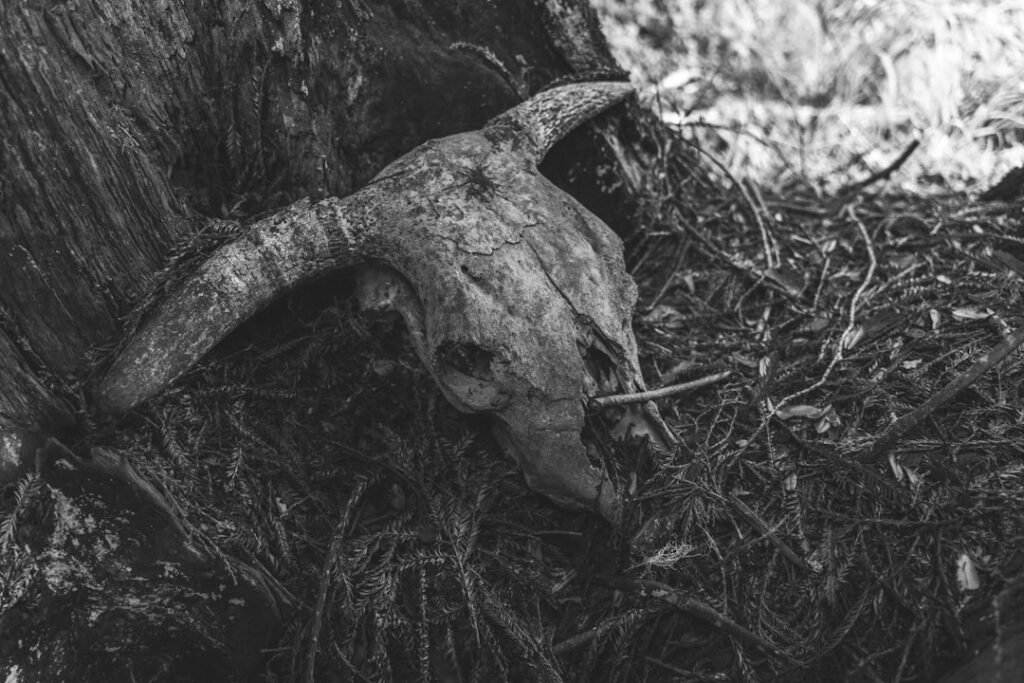 Photo murdaugh death