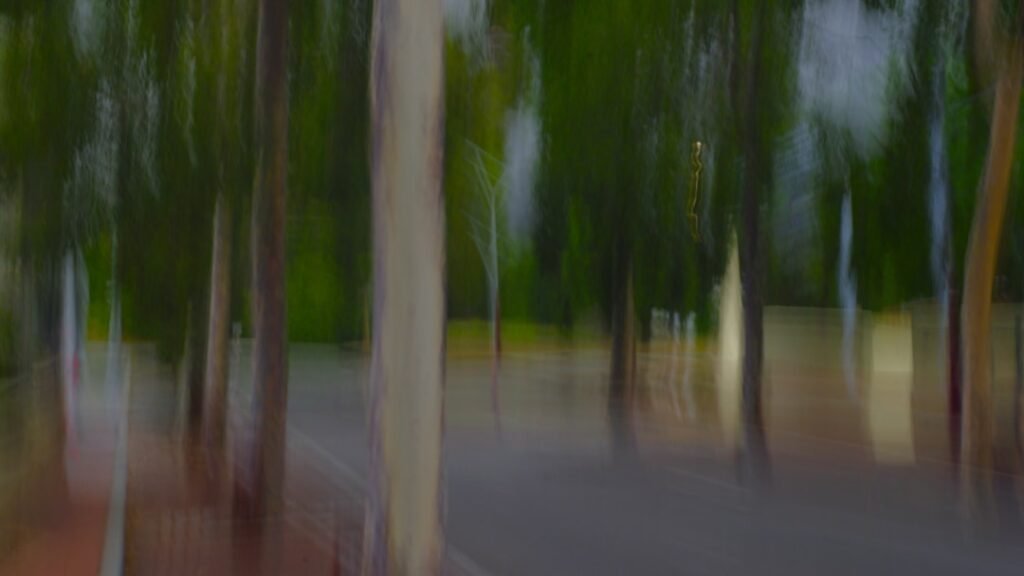 Photo motability scheme