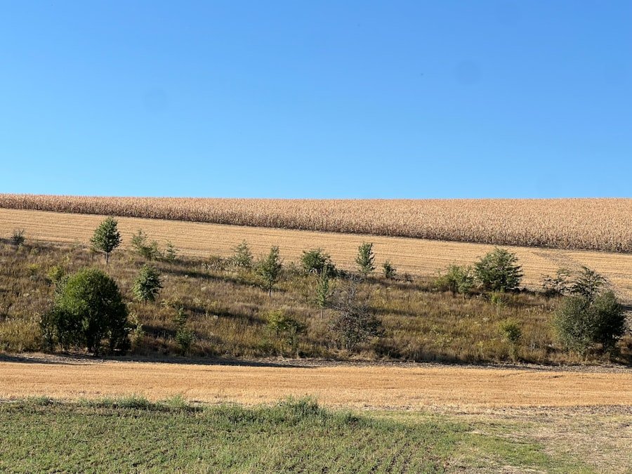 Photo land packages Ellenbrook